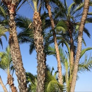 Meet your Posher, Devon